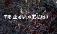 单职业可以pk的私服（单职业 pk玩家）