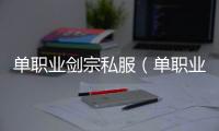 单职业剑宗私服（单职业剑宗叫什么名字）