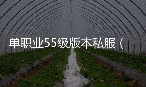 单职业55级版本私服（单职业55端下载）