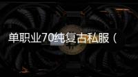 单职业70纯复古私服（单职业70复古版gm代码）