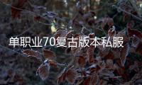 单职业70复古版本私服（70级复古单职业）