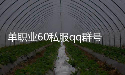 单职业60私服qq群号（单职业官方群号多少）