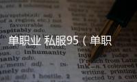 单职业 私服95（单职业直接到95）