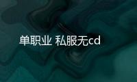 单职业 私服无cd