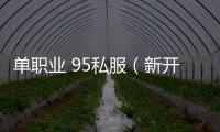 单职业 95私服（新开传奇私服95）