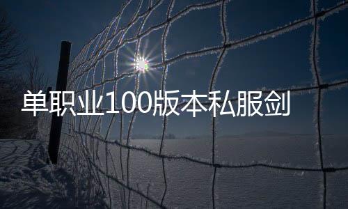 单职业100版本私服剑帝（2021单职业100级剑帝）