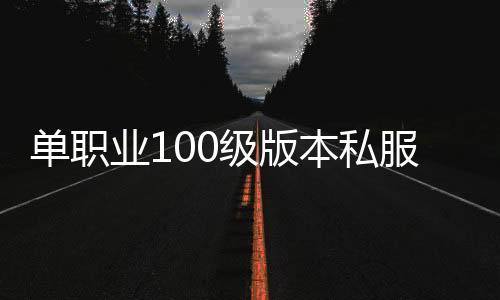 单职业100级版本私服一体包