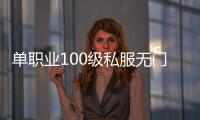 单职业100级私服无门票