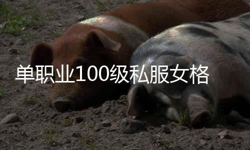 单职业100级私服女格斗（单职业女格斗100版本什么职业强）