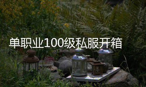 单职业100级私服开箱子（单职业开箱子是什么东西）