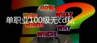 单职业100级无cd私服（单职业100版本无限cd流派）