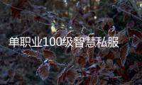 单职业100级智慧私服（新开传奇私服智慧装备是什么）