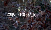 单职业100 私服