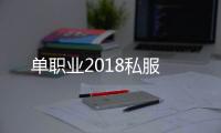 单职业2018私服