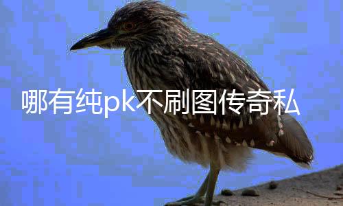 哪有纯pk不刷图传奇私服（传奇私服只玩pk）