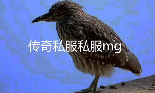 传奇私服私服mg