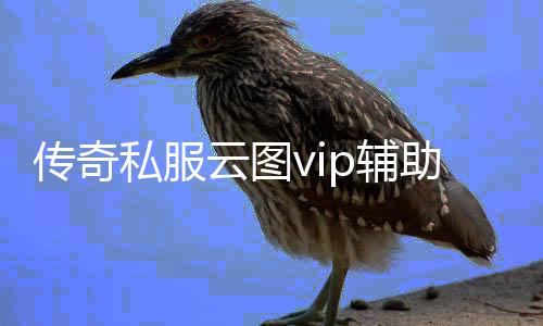 传奇私服云图vip辅助（传奇私服服务器在哪买）