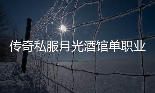 传奇私服月光酒馆单职业怎么玩,月光酒馆单职业游戏攻略