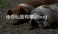 传奇私服有哪些bug