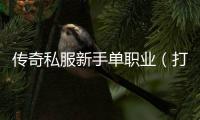 传奇私服新手单职业（打造最适合新手的游戏版本）