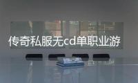 传奇私服无cd单职业游戏排行榜（最火爆的传奇私服无cd单职业游戏推荐）