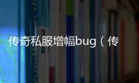 传奇私服增幅bug（传奇私服增幅太贵了）