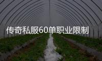 传奇私服60单职业限制登录规则解析，传奇私服60单职业登录限制详解