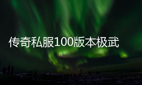 传奇私服100版本极武圣加点攻略,极武圣加点推荐