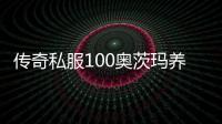 传奇私服100奥茨玛养成攻略,最新传奇私服100奥茨玛获取方法