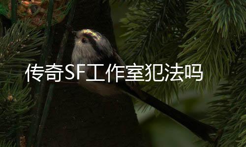 传奇SF工作室犯法吗