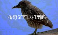 传奇SF可以打团吗