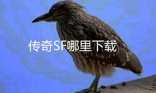 传奇SF哪里下载